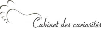 image de présentation de la page d cabinet de curiosités.